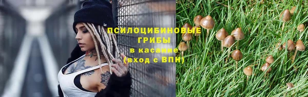 амф Армянск